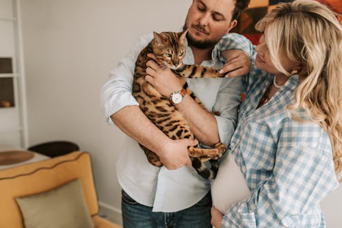 Foto d'estoc gratuïta de a casa, acariciant, amor