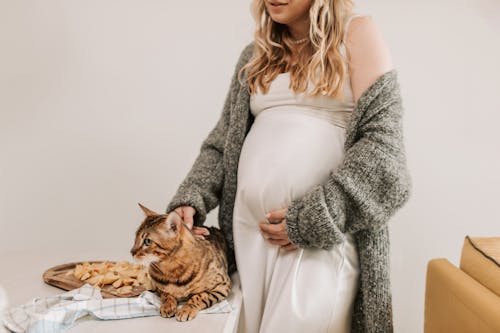 Free Pregnant Woman Petting a Cat Stock Photo