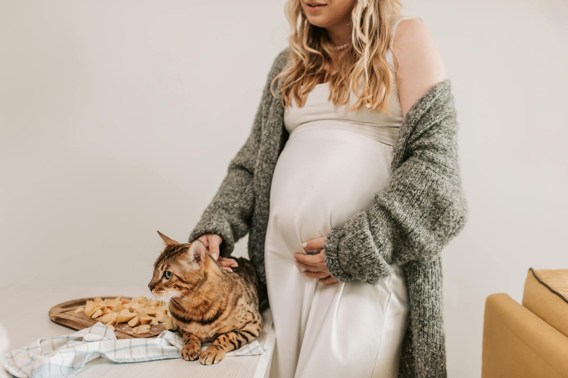 Pregnant Woman Petting a Cat