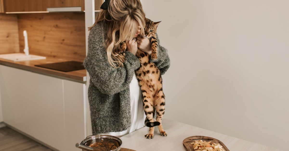 Why Your Cat Is a Picky Eater (And The Counter-Intuitive Truth About What Actually Works)