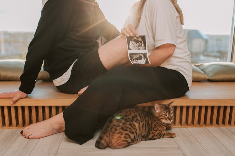 Woman Holding A Sonogram Photos While Sitting In Front Of A Man