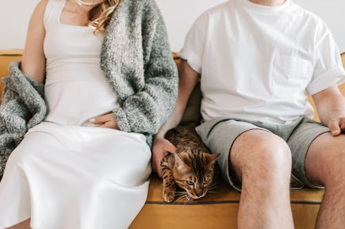 Free Couple SItting on Sofa with a Cat Stock Photo
