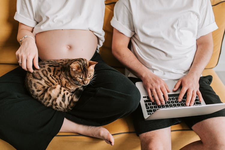 Couple Sitting On A Sofa Using Laptop And Petting A Cat