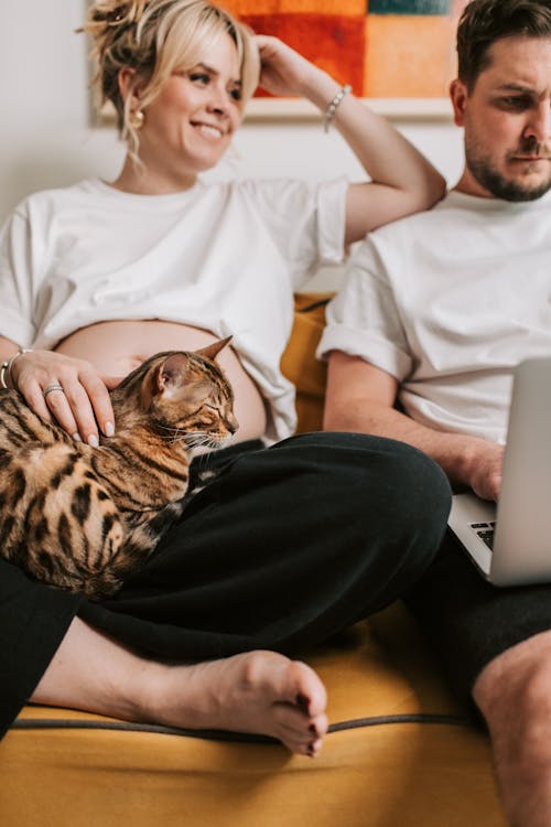 Free Man Using Laptop Beside a Pregnant Woman Stock Photo