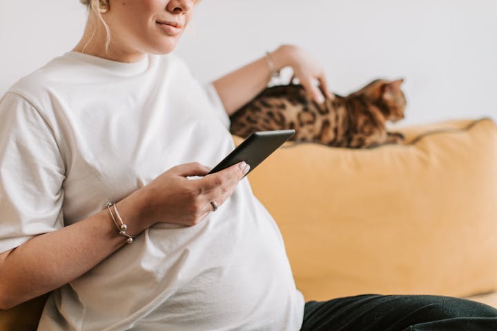 A pregnant woman sitting indoors, using a smartphone, with a cat on the sofa.