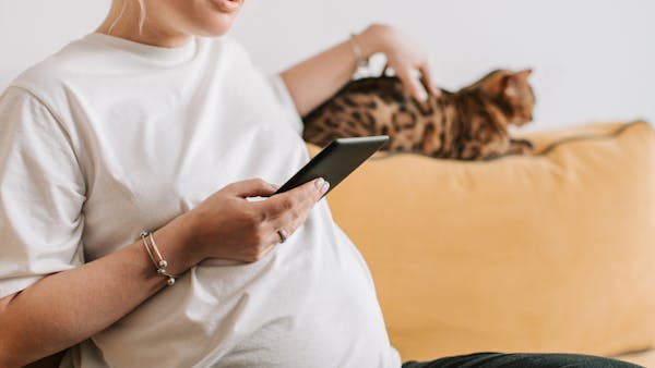 A pregnant woman sitting indoors, using a smartphone, with a cat on the sofa.