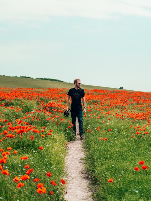 Man Walking in between Flower Field under Blue Sky