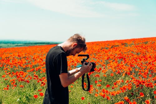 Foto profissional grátis de câmera, campo de papoulas, de pé