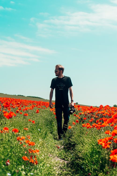 A Man Looking the Poppy Flower Field