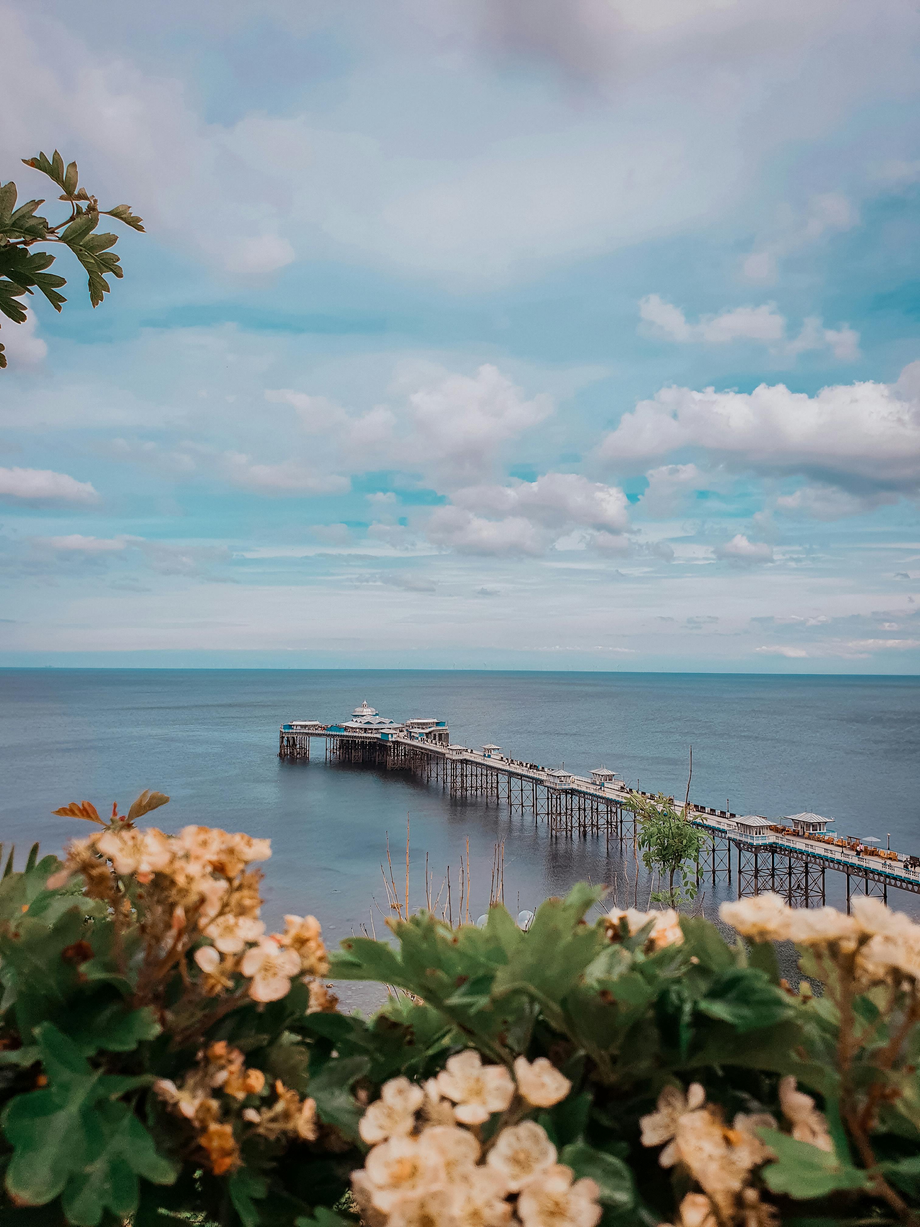 Beautiful view of Llandudno Pier extending into the sea with blue skies and vibrant flowers.