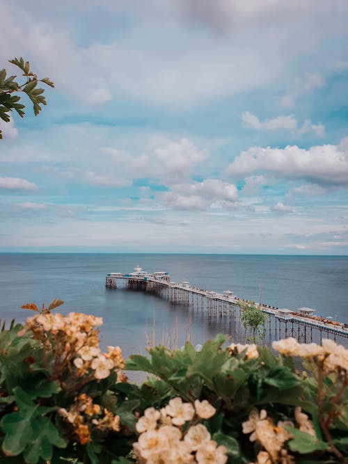 Brown Wooden Dock on Sea Under Blue Sky and White Clouds