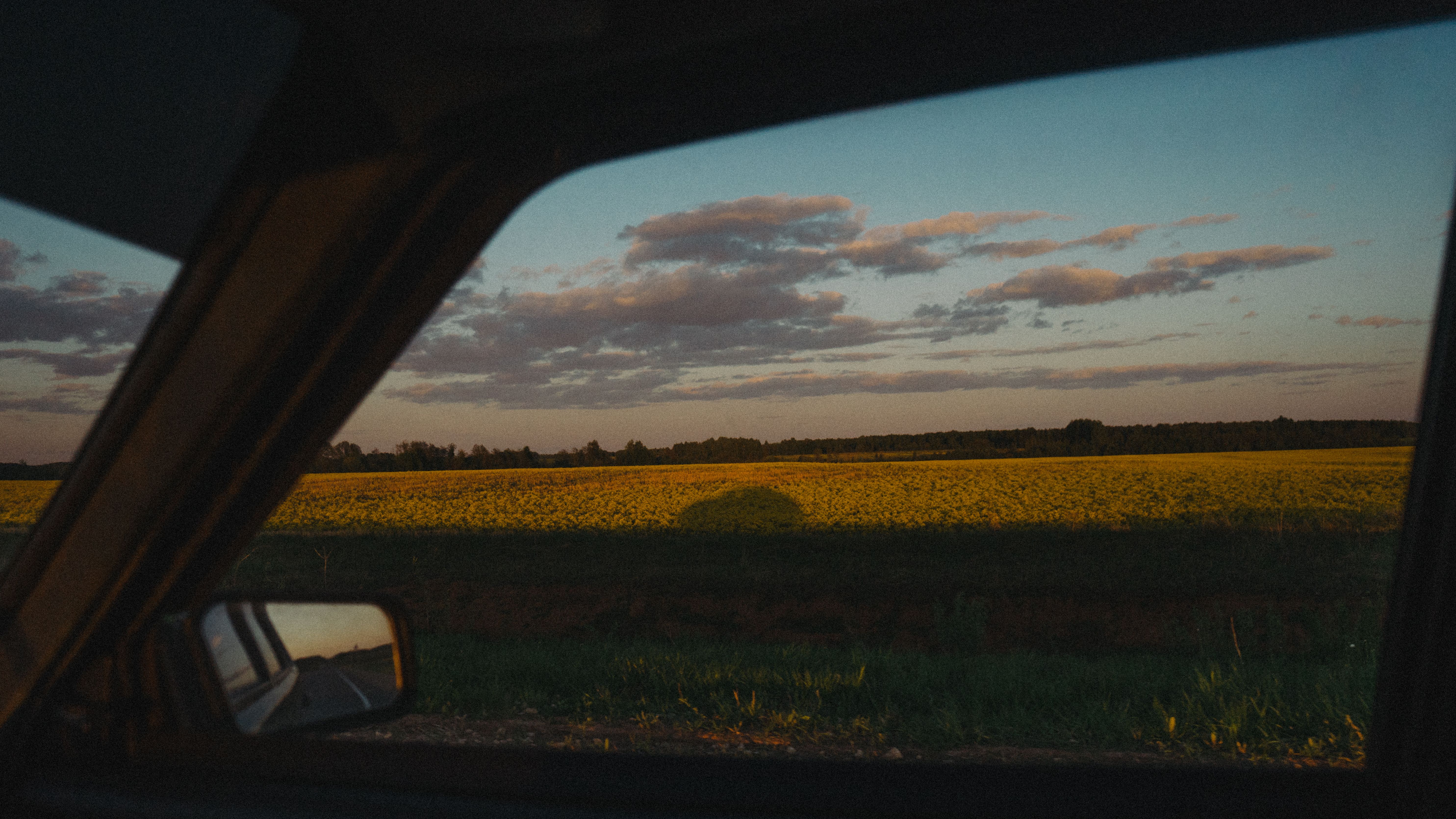 Window View of Grass Field inside a Car · Free Stock Photo