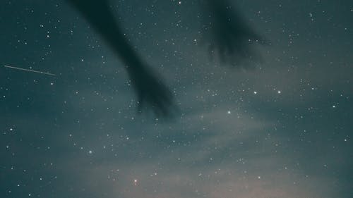 Autumn Sky Guide: Locate Pegasus With Four Bright Stars