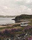 White Van on Green Grass Field Near Body of Water