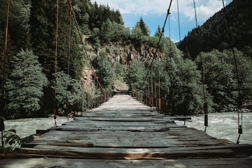 A Hanging Bridge Above the River Near the Green Trees