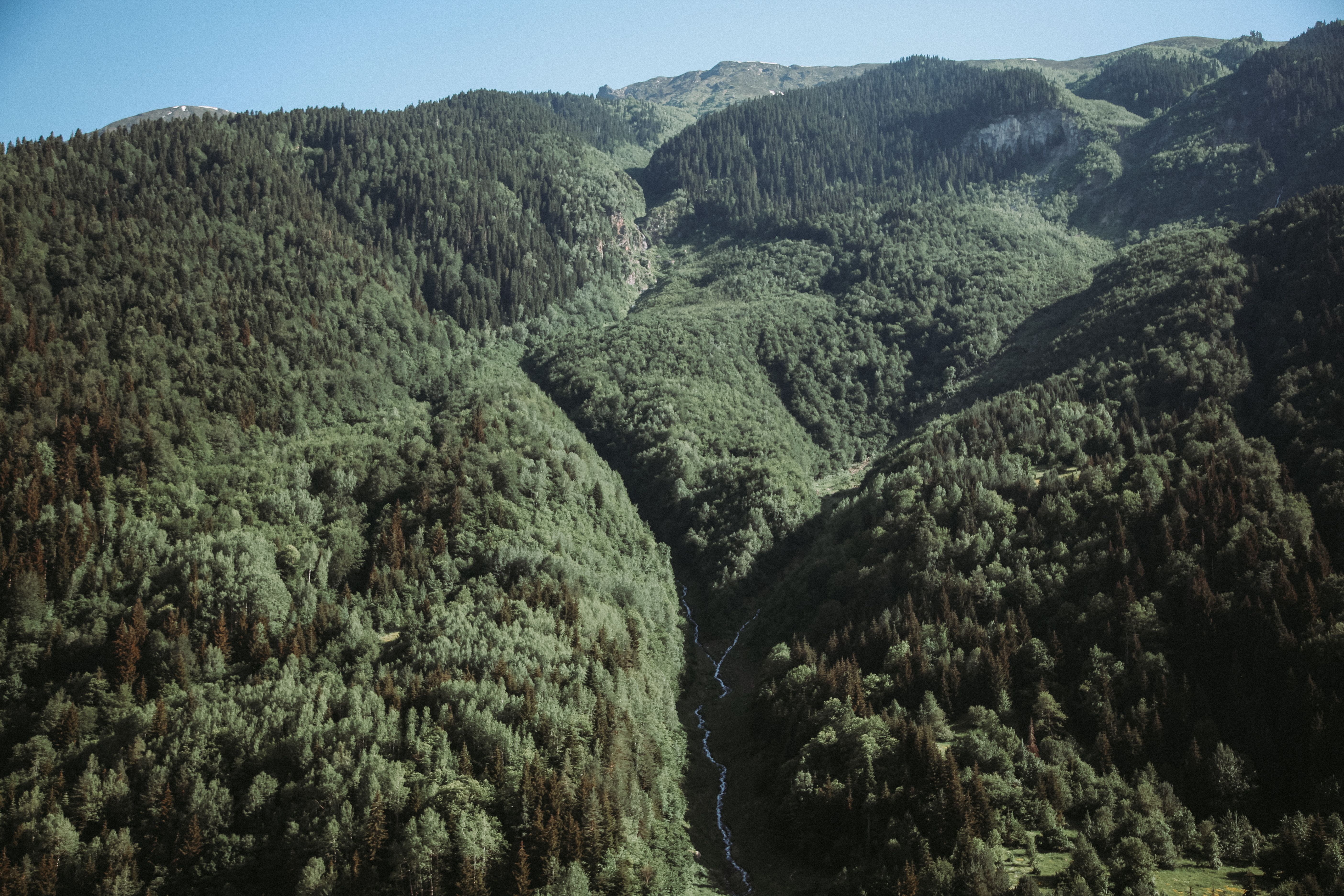 An Aerial Photography of Green Trees on Mountain · Free Stock Photo