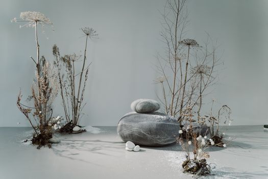Gray Stones and Hogweed Plants