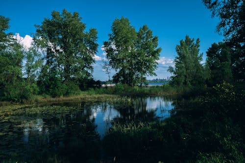 Fotobanka s bezplatnými fotkami na tému jasná obloha, jazierko, modrá obloha