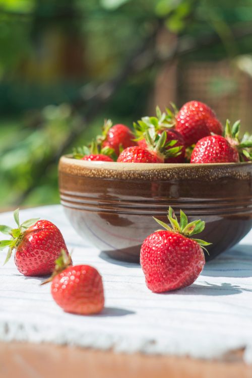Free Ripe red strawberries in a rustic brown bowl on a sunny day, perfect for fresh summer recipes. Stock Photo