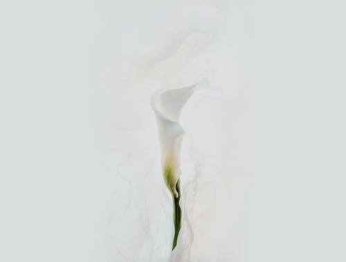 Бесплатное стоковое фото с абстрактный, белый, бумага