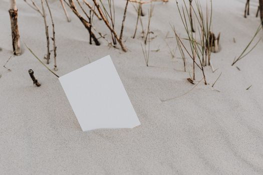 White Printer Paper on White Sand