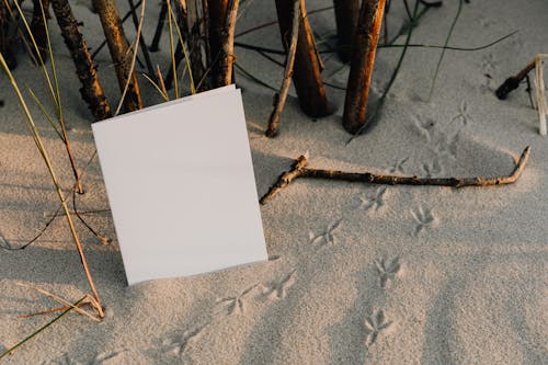 Foto profissional grátis de areia, desocupado, estudo