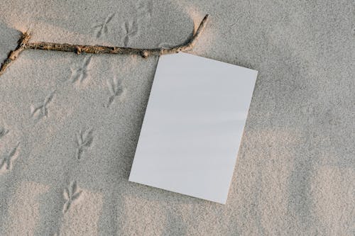 Foto profissional grátis de areia, desocupado, galho de árvore