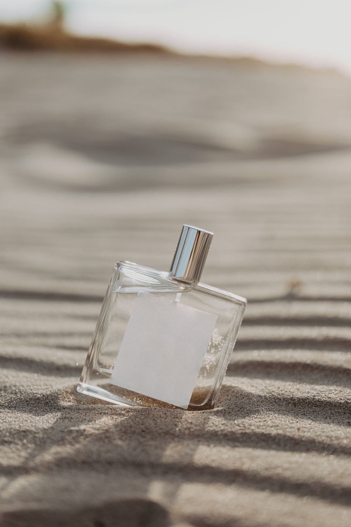 Sea Salt Eau de Toilette, 100 ml alternate view