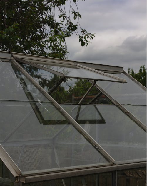 Free stock photo of greenhouse window, window