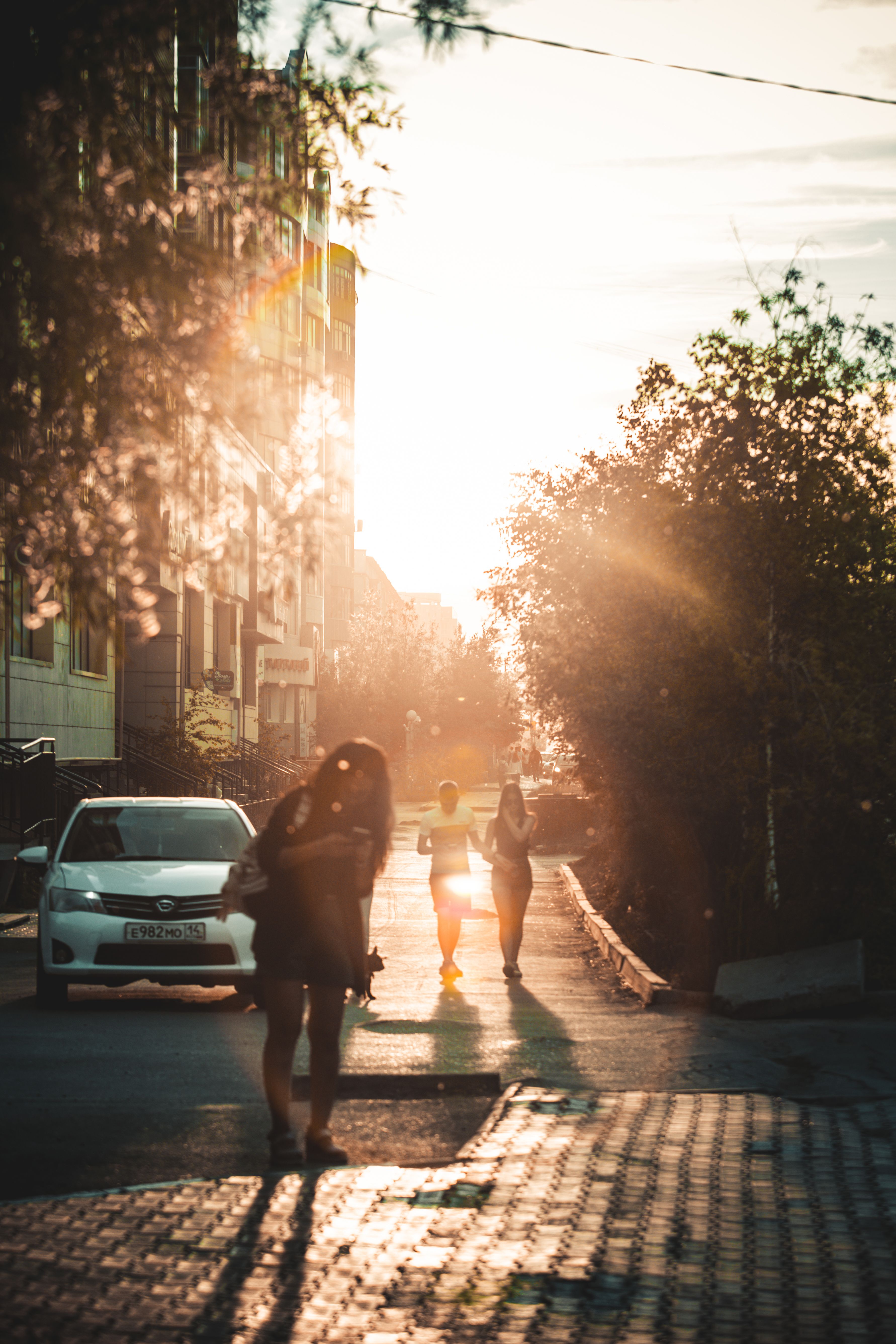 Gratis lagerfoto af baghave, maskine, par Lagerfoto
