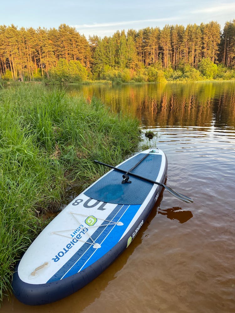 Standup Paddle Board On A Lake