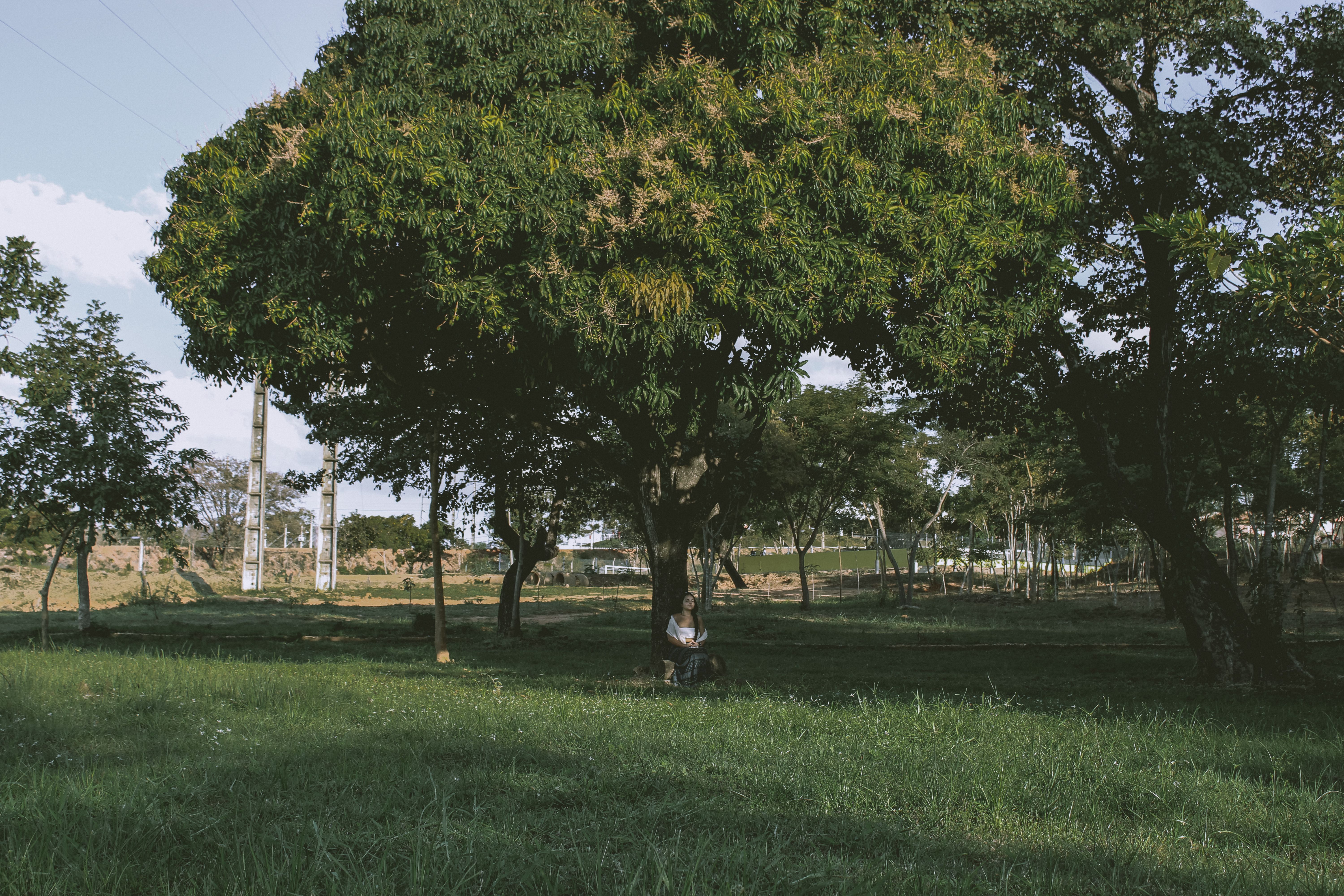 Viagem Mato Grosso em Goiânia