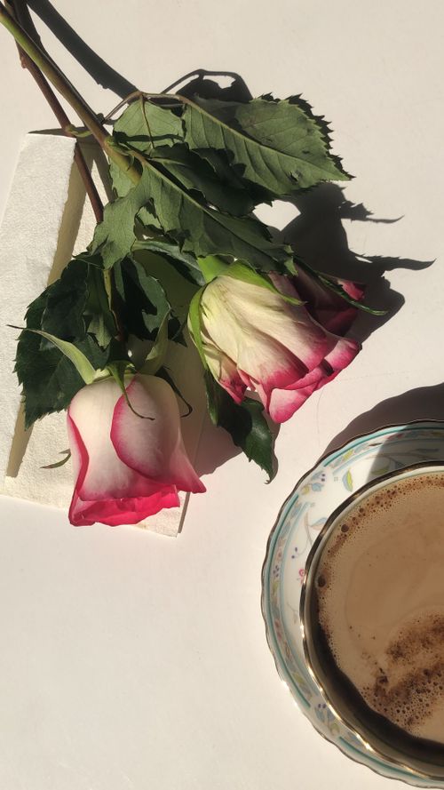 Free A calming flat lay of roses beside a steaming cup of coffee, perfect for a serene morning vibe. Stock Photo