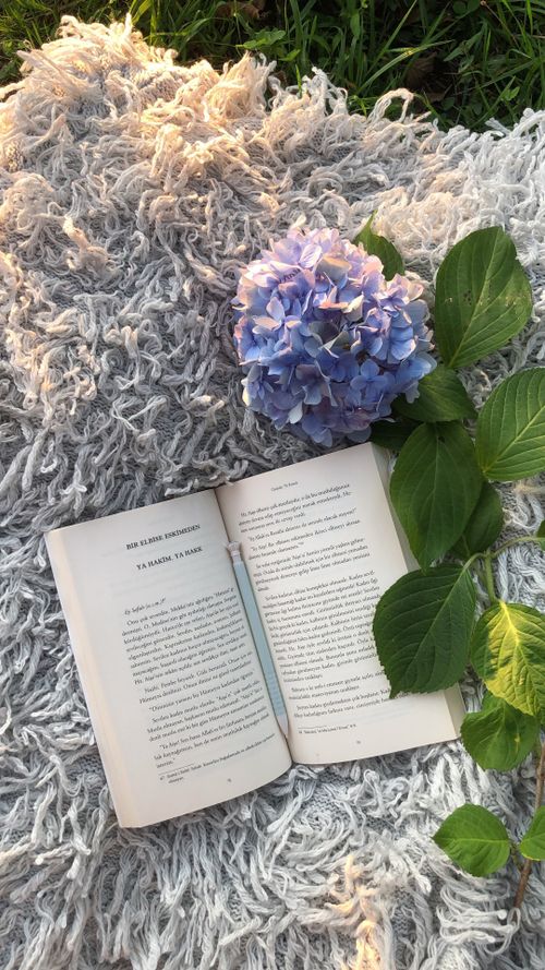 Free A serene scene of an open book on a textured rug next to a purple hydrangea under natural light. Stock Photo