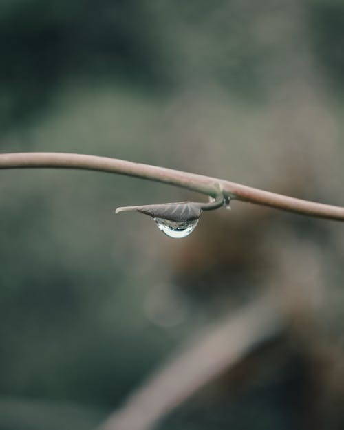 Foto d'estoc gratuïta de aigua, aire fresc, aire net