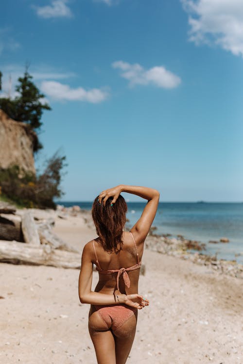 Free Back View of a Woman Wearing Bikini in the Beach Stock Photo