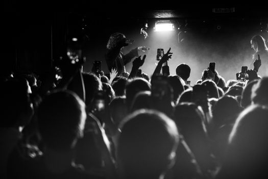 Energetic black and white shot of a music concert with a lively audience and stage lighting.