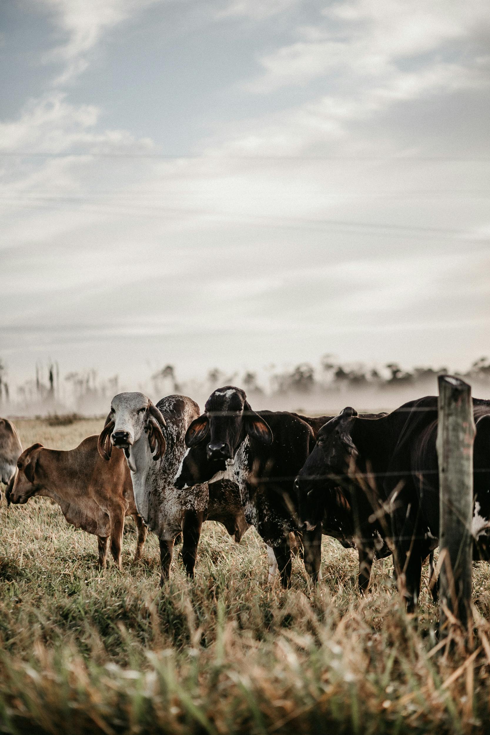 Photo by Vitor Monthay