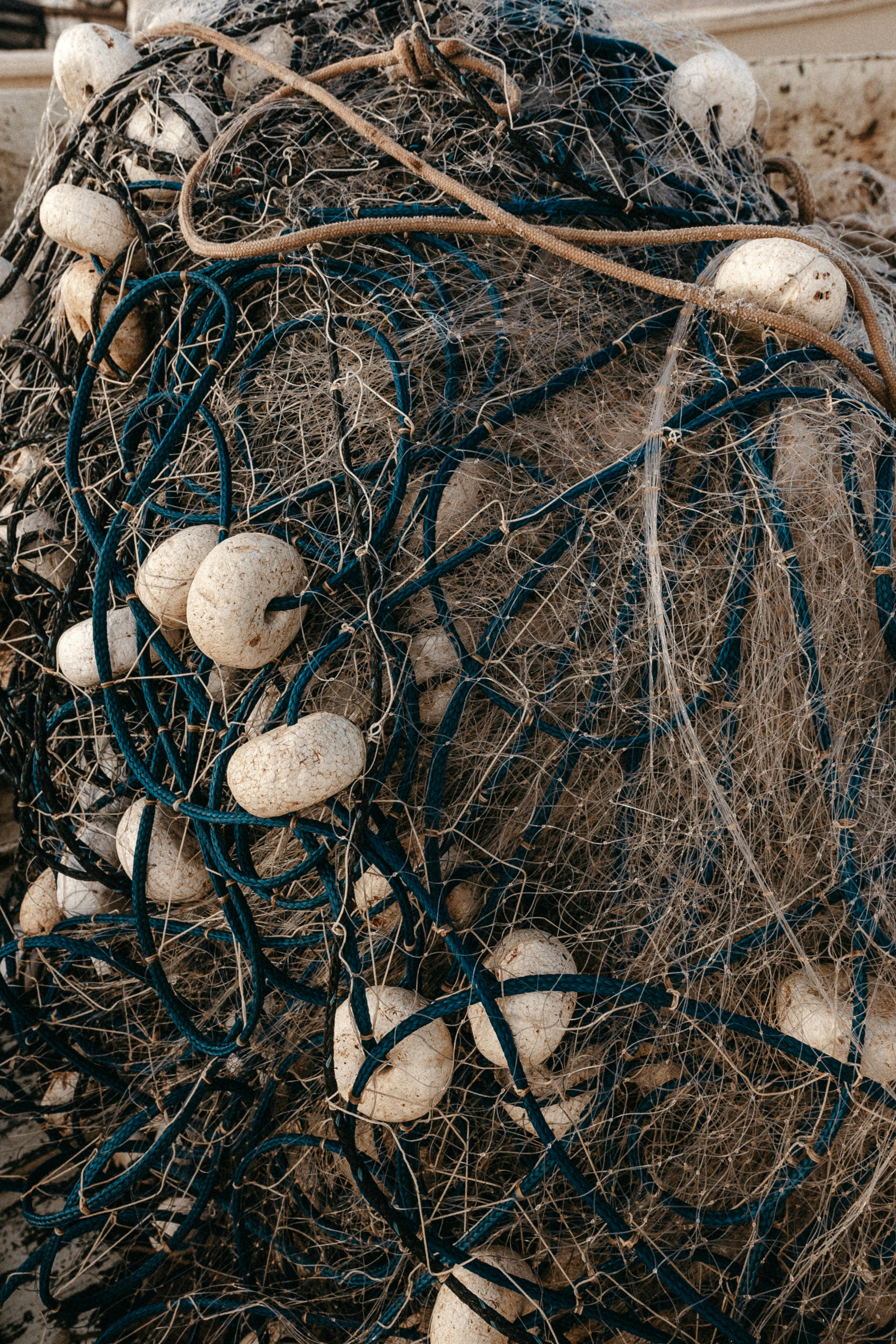 Broken Wooden Fish Trap on Rock · Free Stock Photo