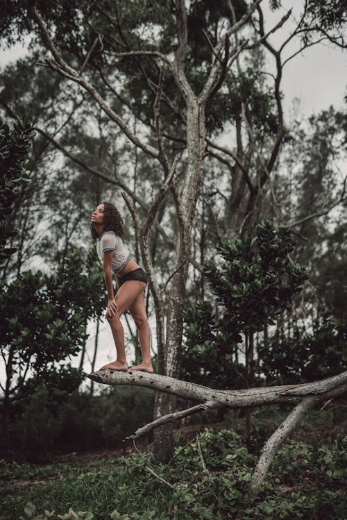 Woman Posing on Tree