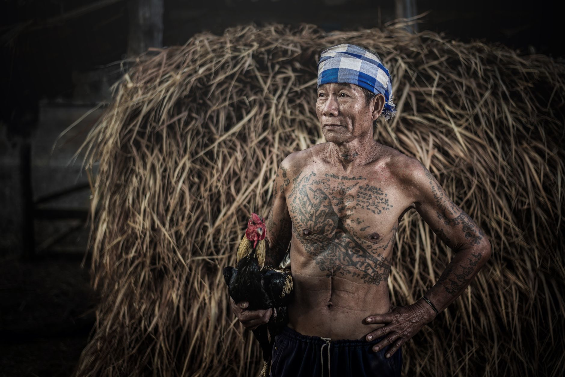 Shirtless tattooed farmer holds rooster in front of haystack, outdoors.