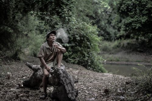 Free Senior man smoking on a tree trunk in a lush green outdoor setting. Stock Photo