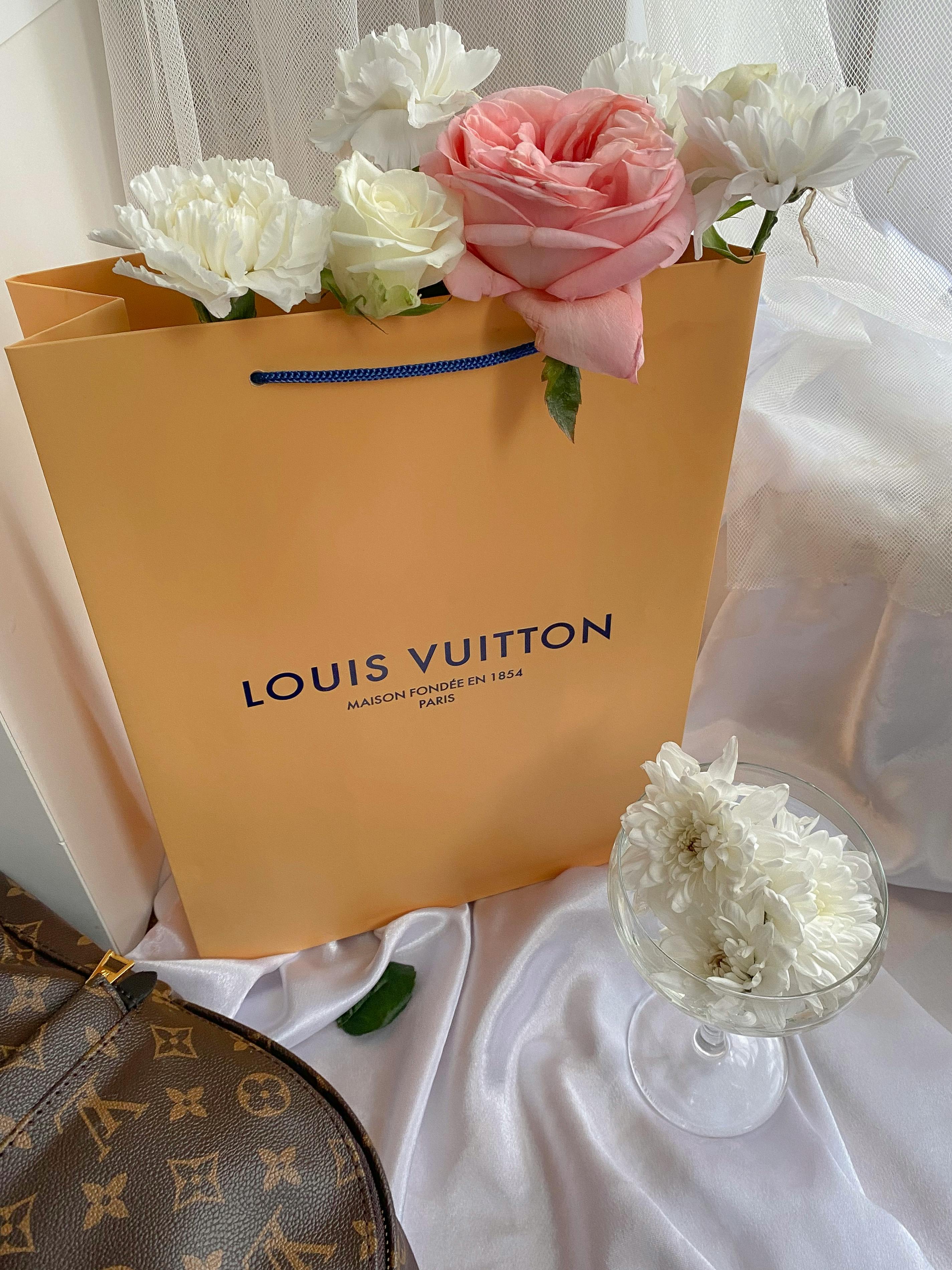 Luis Vuitton Photos, Download The BEST Free Luis Vuitton Stock