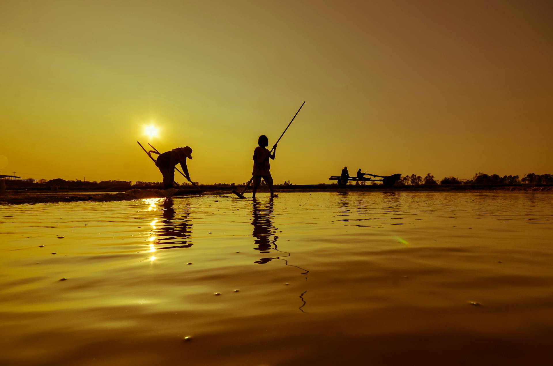 Silhouetted fishermen working at sunrise, casting shadows on calm waters reflecting the golden sky.