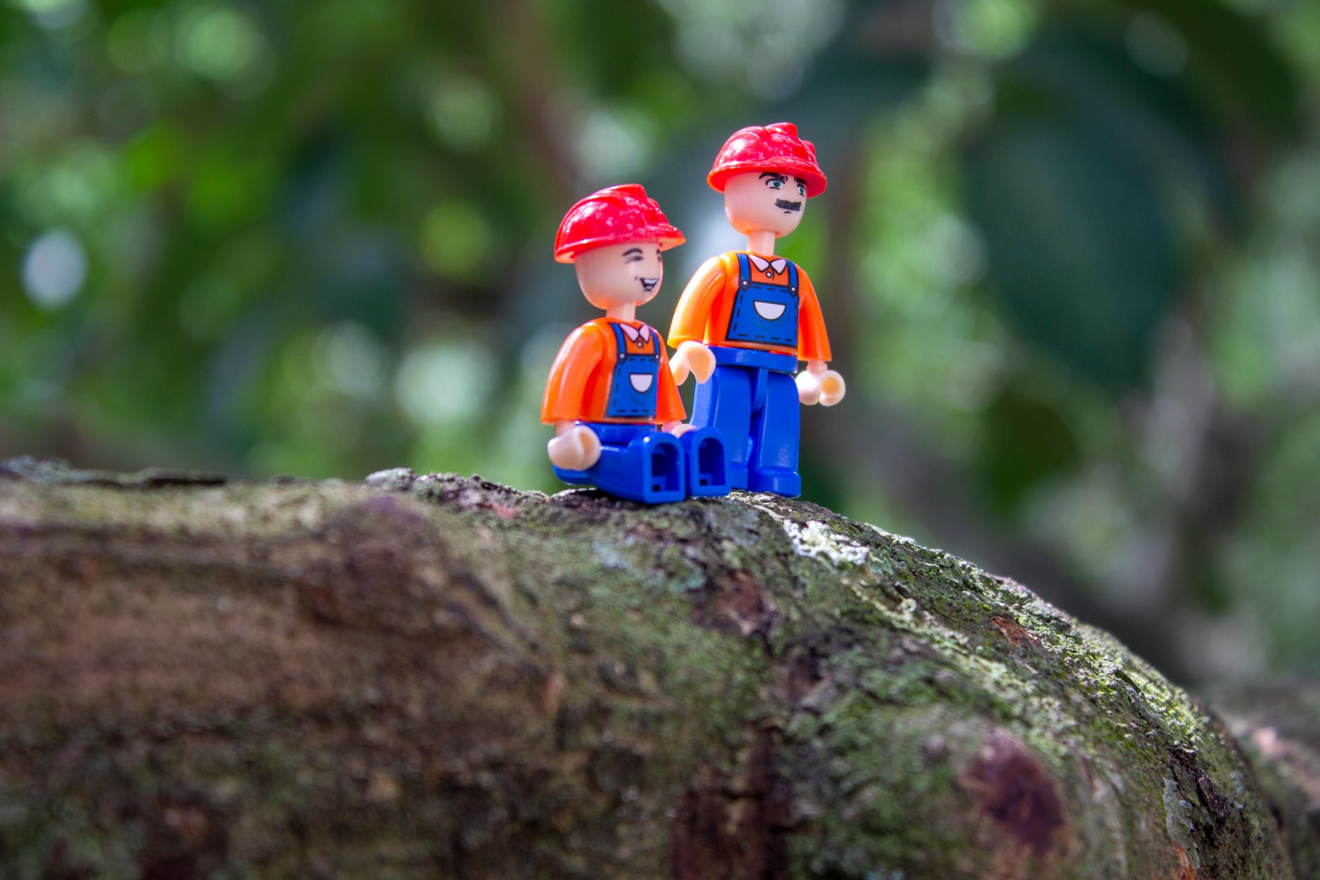 Reduceri 25% la LEGO® pe noriel.ro: cumpără minimum 349 lei între 01-07.09.2026 Reduceri 25% la LEGO® pe noriel.ro: cumpără minimum 349 lei între 01-07.09.2026
