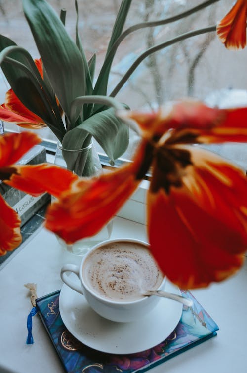 คลังภาพถ่ายฟรี ของ กาแฟในถ้วย, จานรอง, ดอกไม้