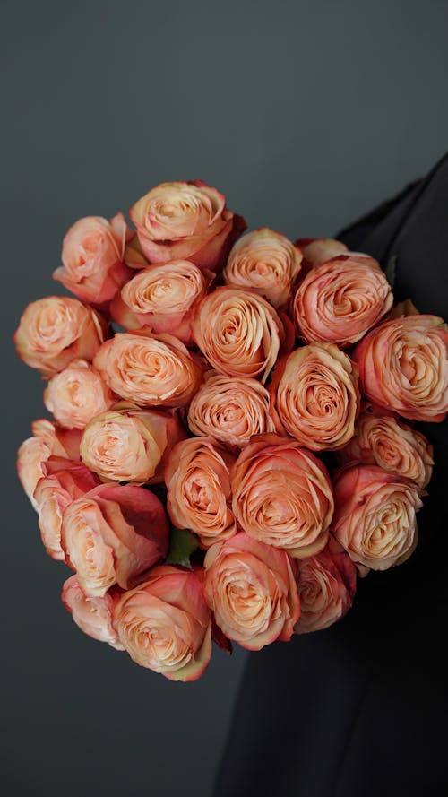 Free A Bouquet of Pink Roses Stock Photo