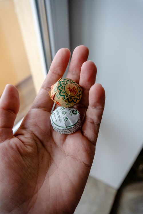 Free A hand holding two wrapped Pu-erh tea cakes near a window, emphasizing traditional Chinese tea packaging. Stock Photo