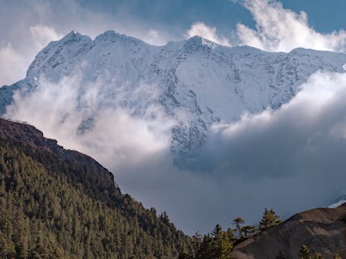 Foto profissional grátis de árvores, cenário, com frio