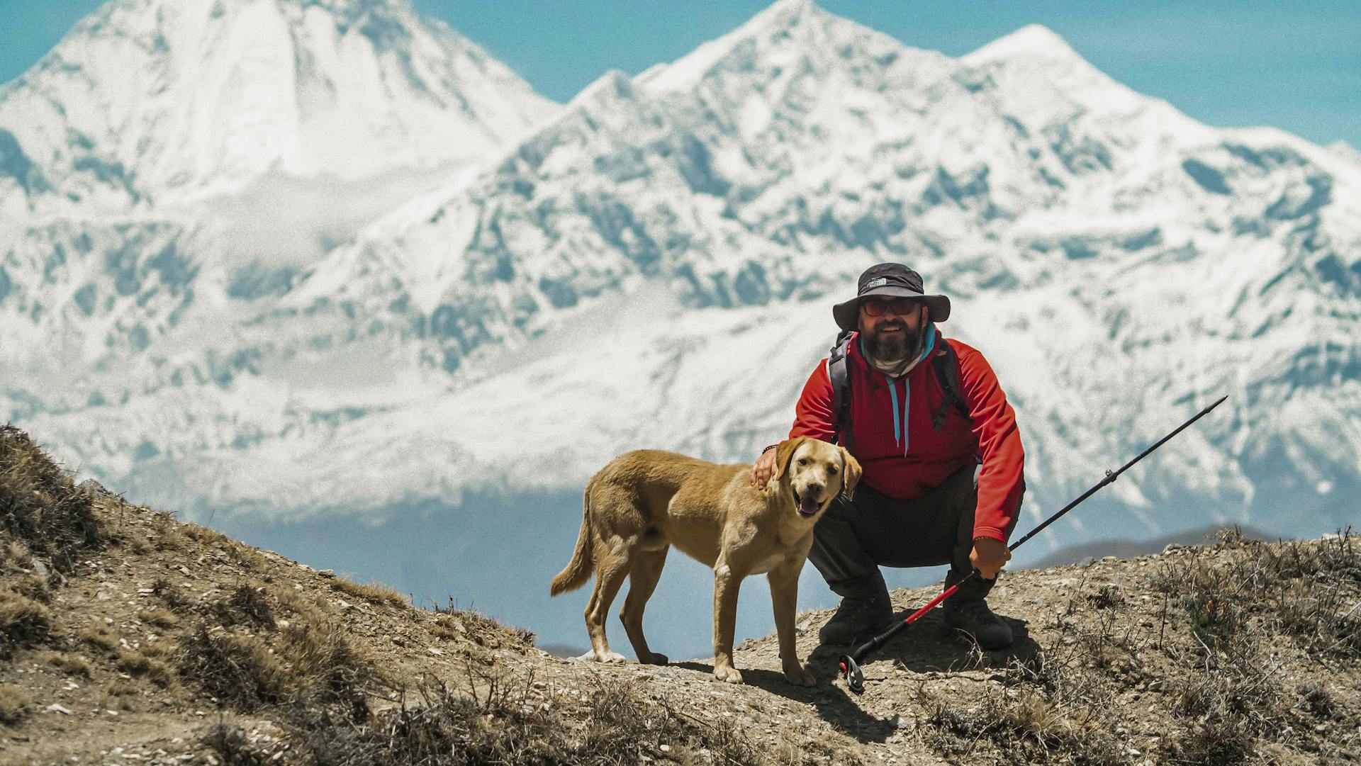 A Man in Red Jacket Holding a Trekking Pole while Sitting Near His Dog on Mountain